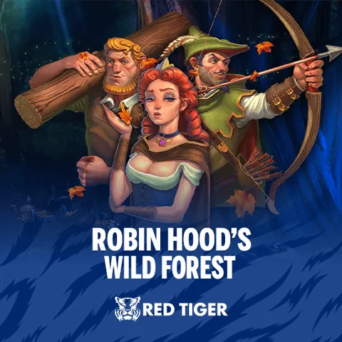 Robin Hood's Wild Forest oyununun kapak görseli